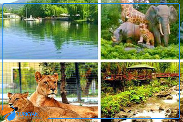 حديقة حيوان سبانجا - السياحة في صبنجة