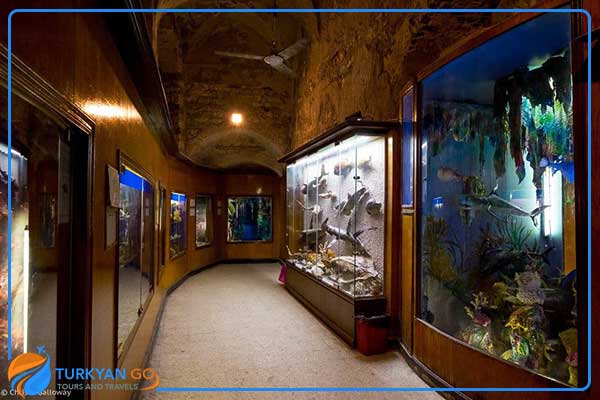 متحف الأحياء المائية